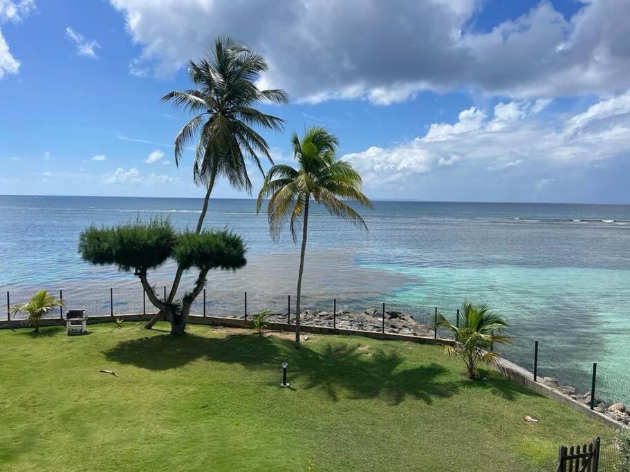 Ti Macloa - Appartement Les Pieds Dans L'Eau Sainte-Anne  Bagian luar foto